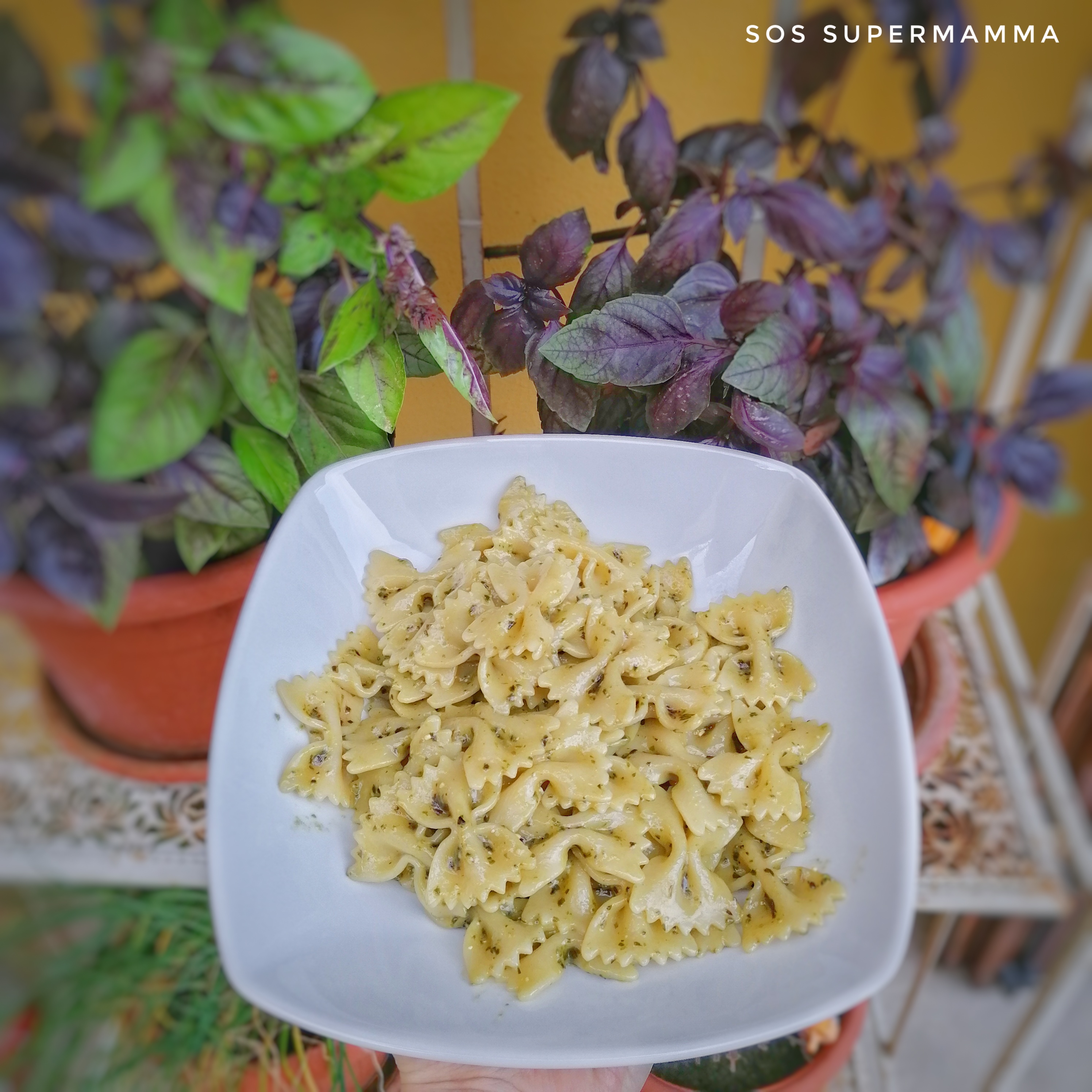 Pasta al pesto - Foto di Sossupermamma -