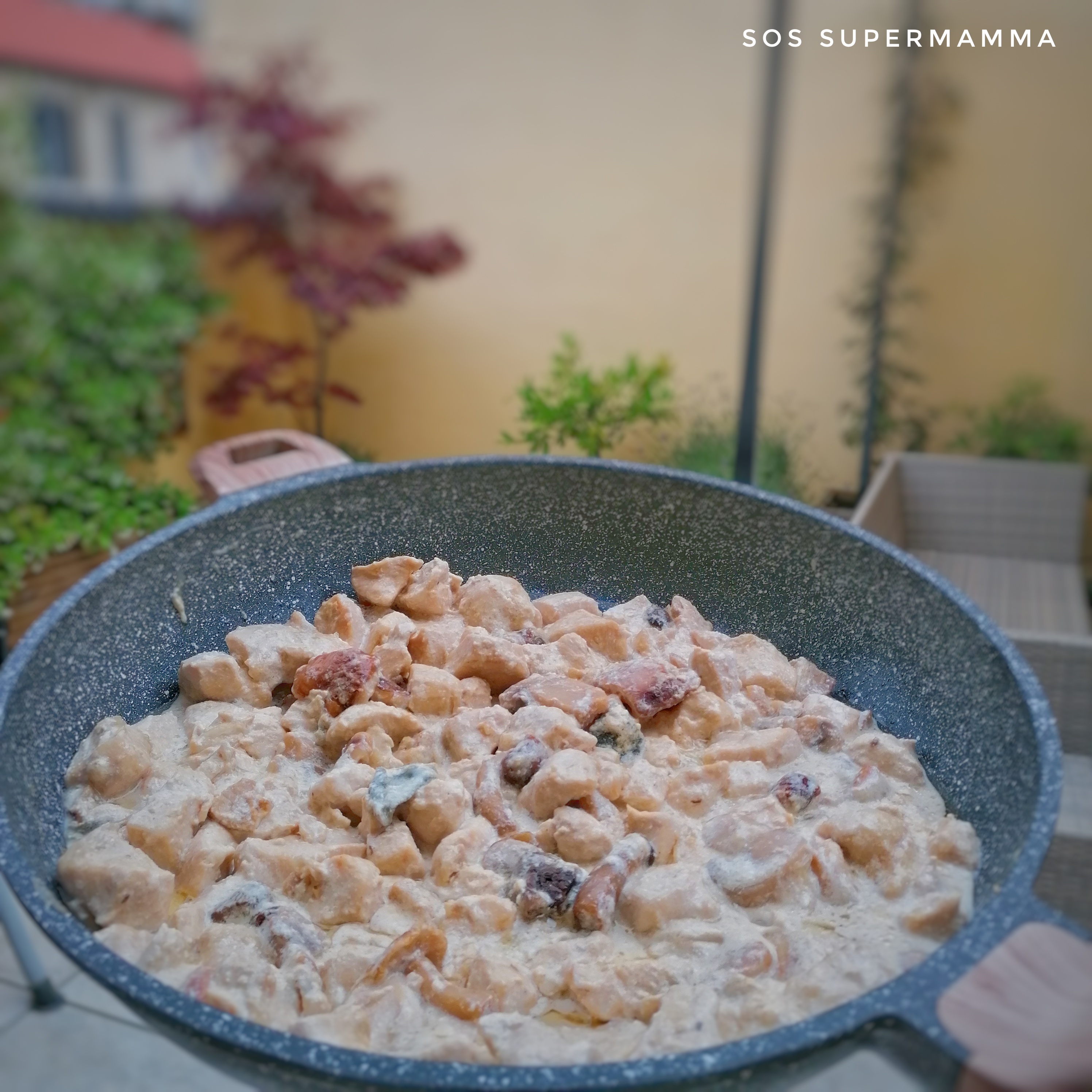 Spezzatino di pollo con funghi porcini - Foto di Sossupermamma -