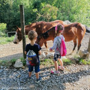 I cavalli a Terz'Alpe - Foto di Sossupermamma -