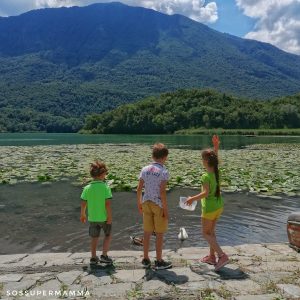 Le papere del Lago di Piano