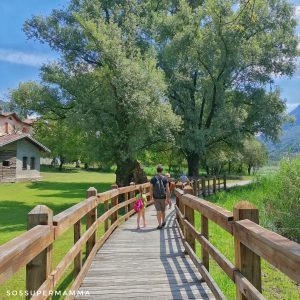 Passeggiata lungo il Lago di Piano