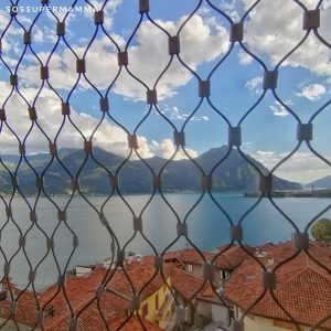 La vista dalla cima della Torre