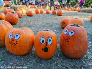 Zucche decorate all'interno del Campo di Galbiate - Foto di Sossupermamma -