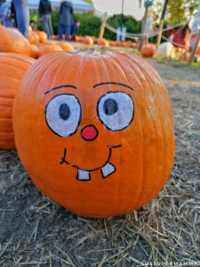 Zucca decorata all'interno del Campo di Galbiate - Foto di Sossupermamma -