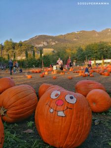 Le zucche del Campo di Galbiate - Foto di Sossupermamma -